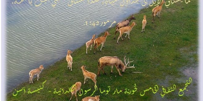 التجمع الثقافي الخامس لخورنة مار توما الرسول الكلدانية – كنيسة أسن